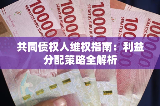北京共同债权人维权指南：利益分配策略全解析