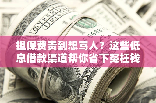 北京担保费贵到想骂人？这些低息借款渠道帮你省下冤枉钱