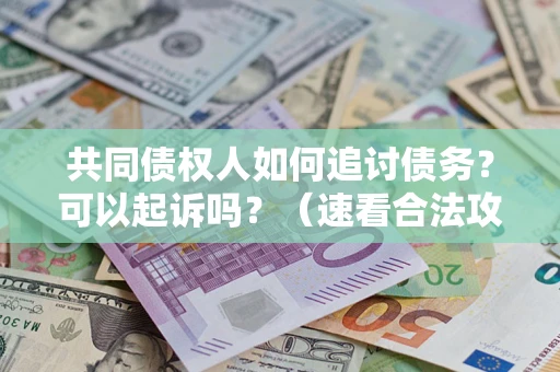 北京共同债权人如何追讨债务？可以起诉吗？（速看合法攻略）